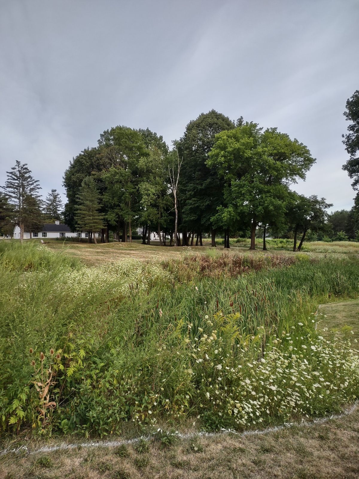 Hole 18 hazard