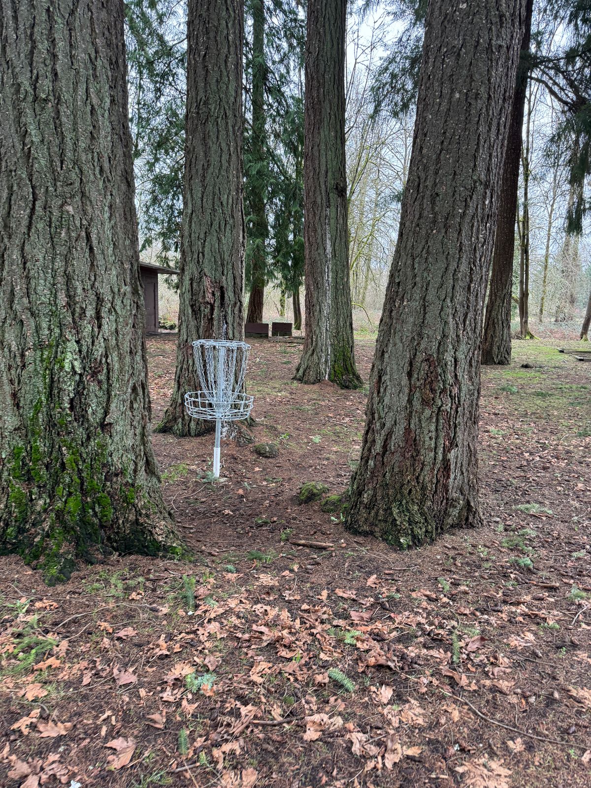 The green on 7