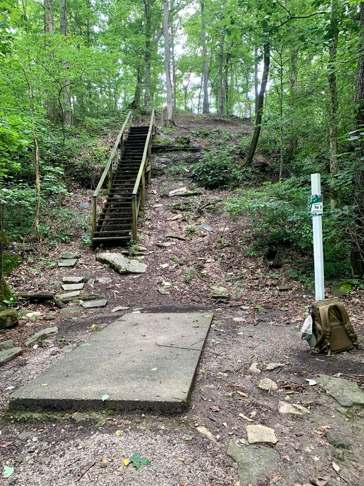 7 tee pad