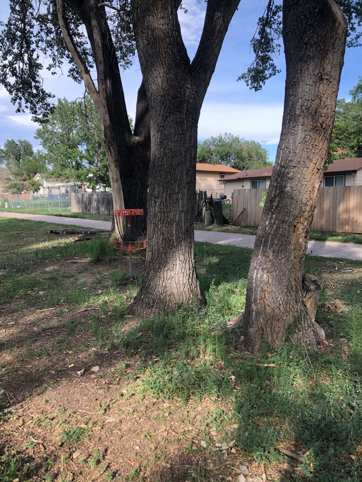 When the creek doesn’t guard the baskets, trees do. Fun course!