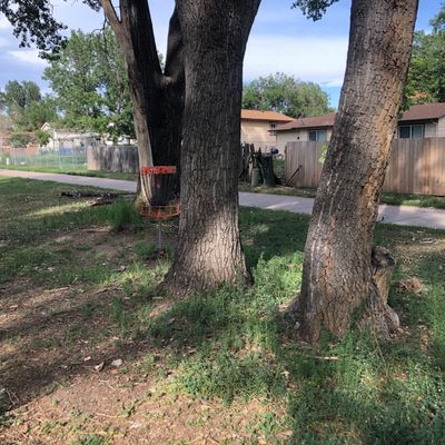When the creek doesn’t guard the baskets, trees do. Fun course!