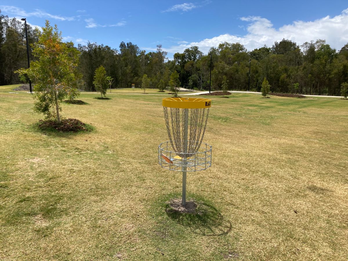 Hole 6 basket