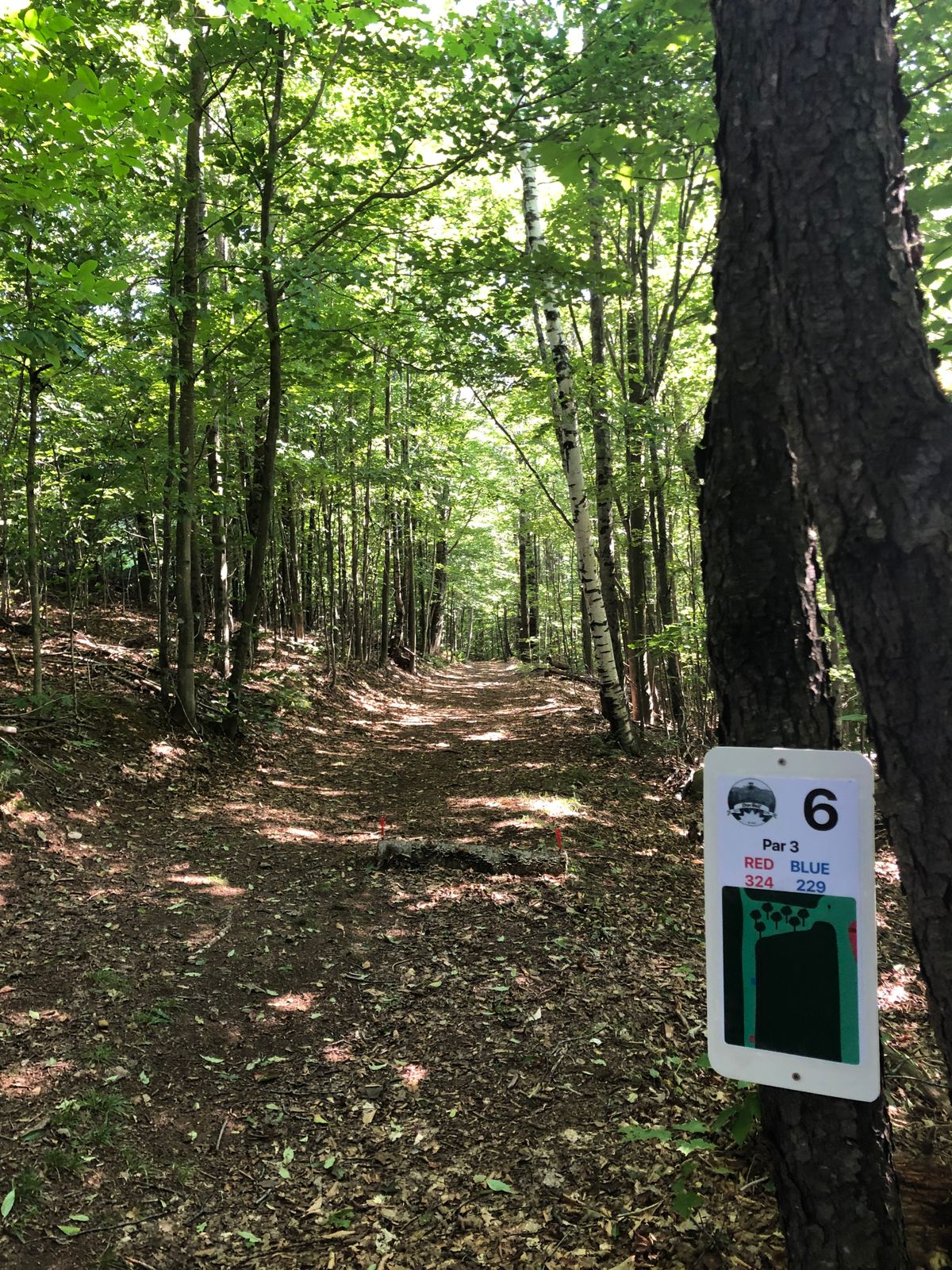 6 Tee