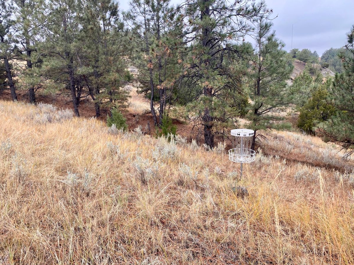 Hole 14 A pin