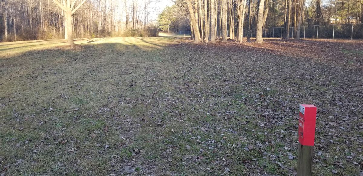 Hole 7 Tee Box