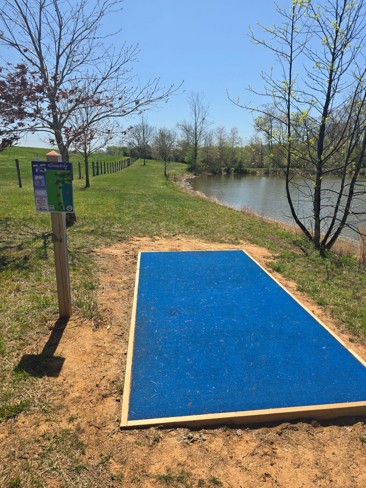 Hole 15 Tee