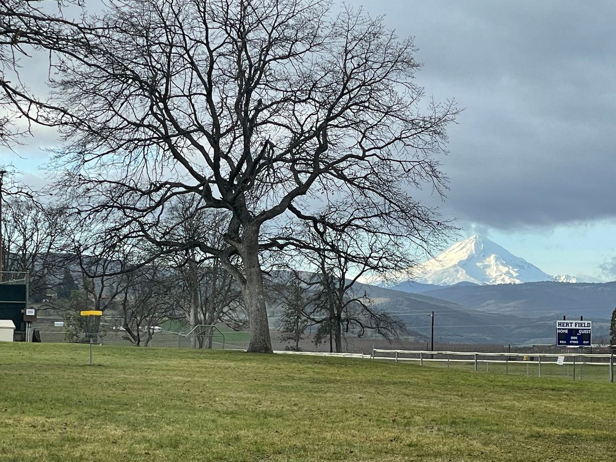 First Basket with Mt. Hood.