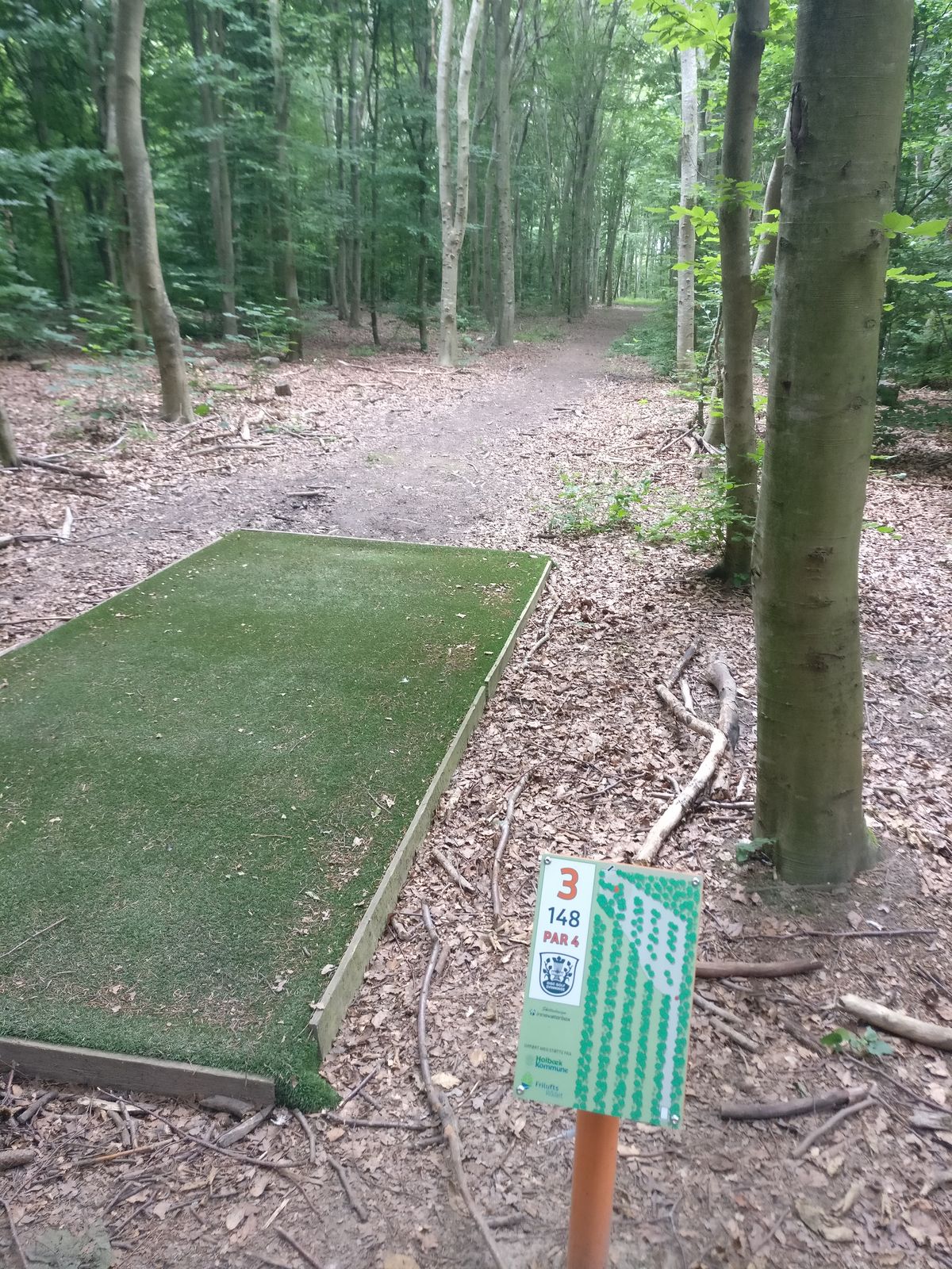 Hole 3