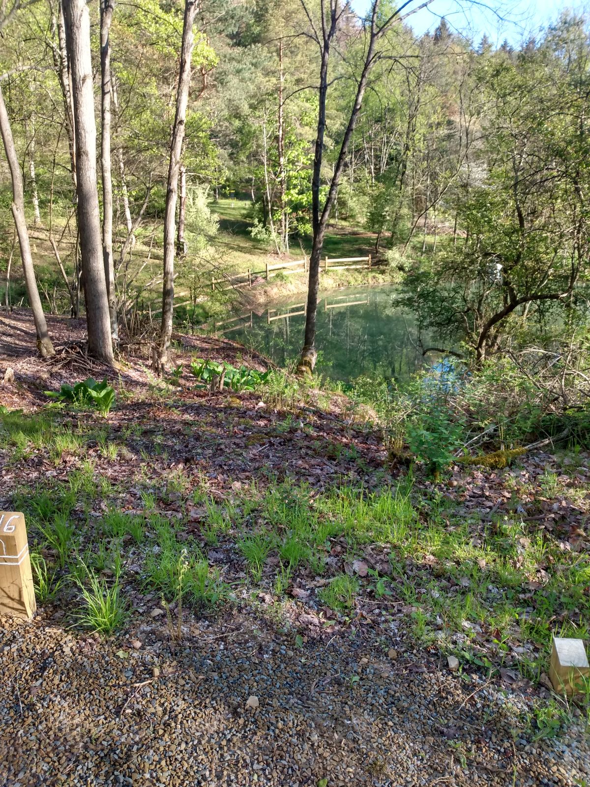 Hole 16 white tee