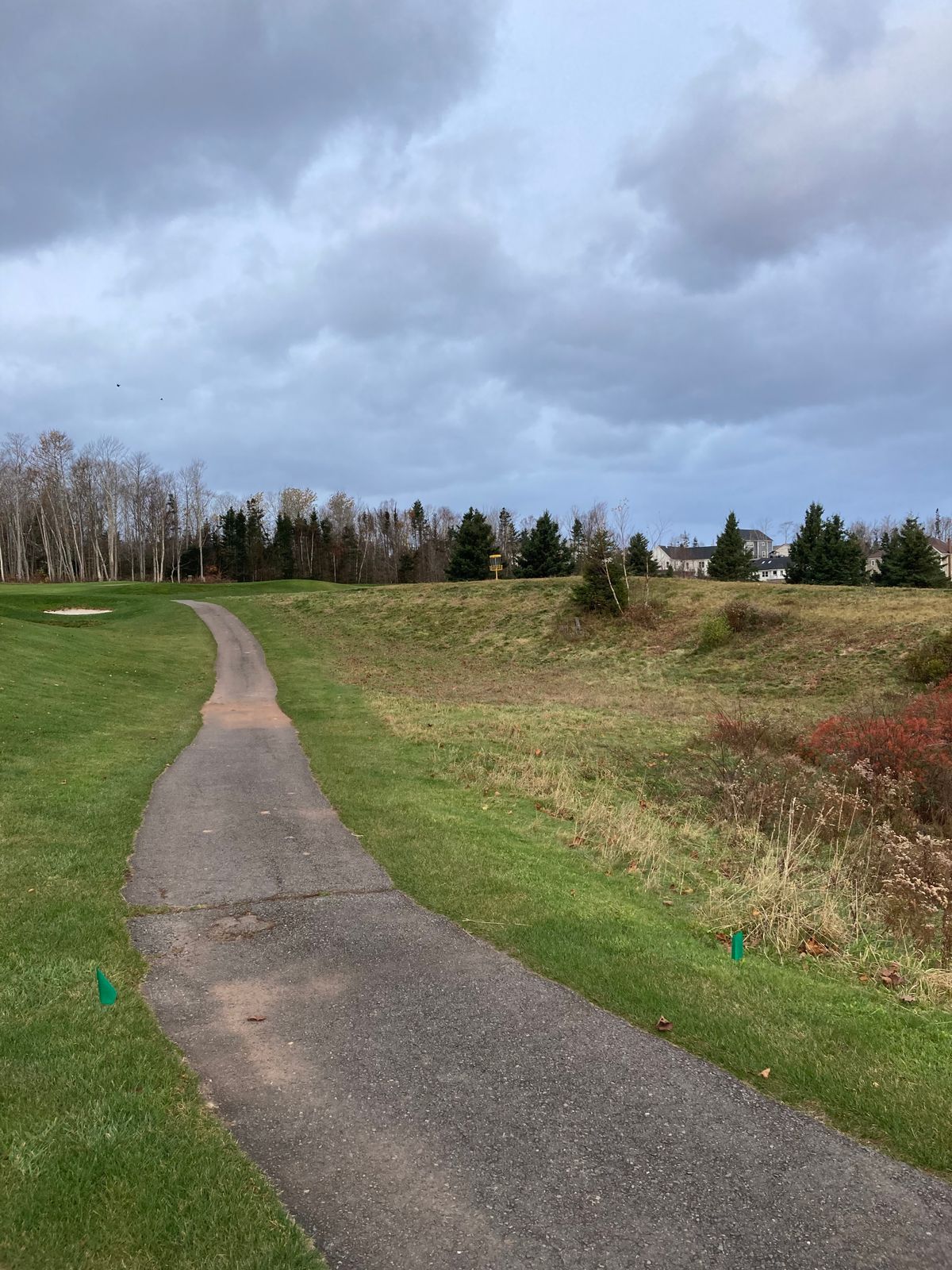 Hole 4 Green tee
