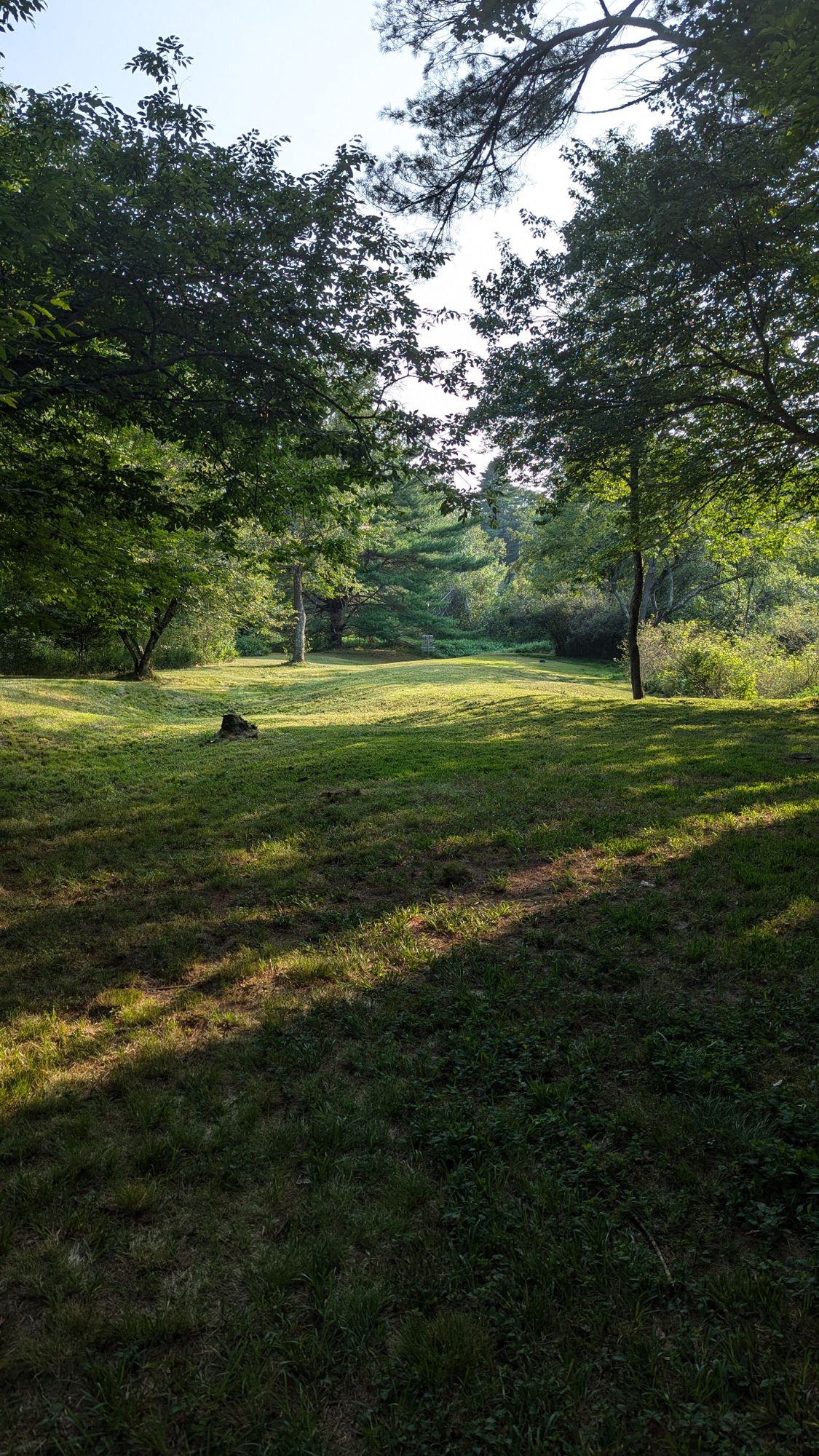 Hole 6 | Pin 2, about 160' out