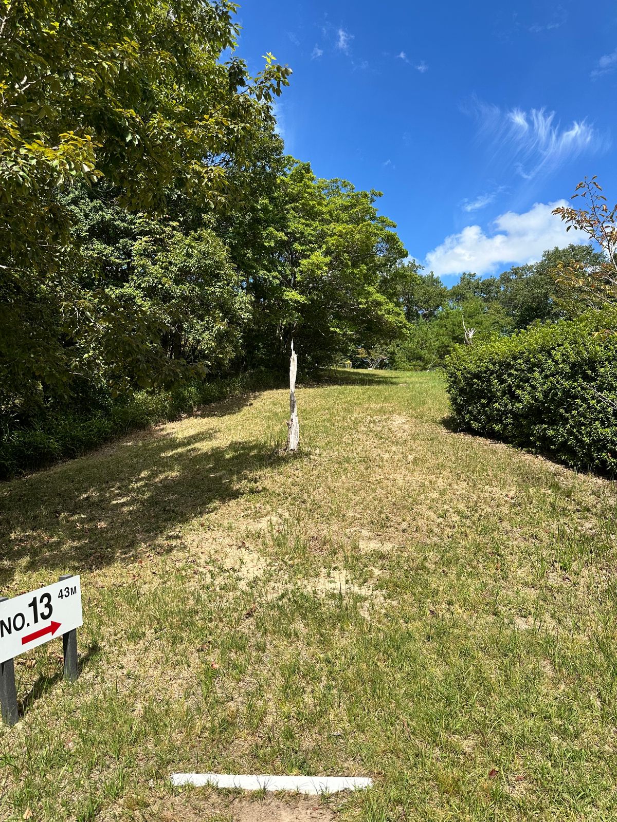 Hole 13