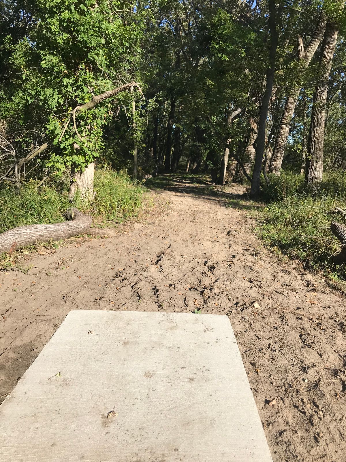 Hole 4