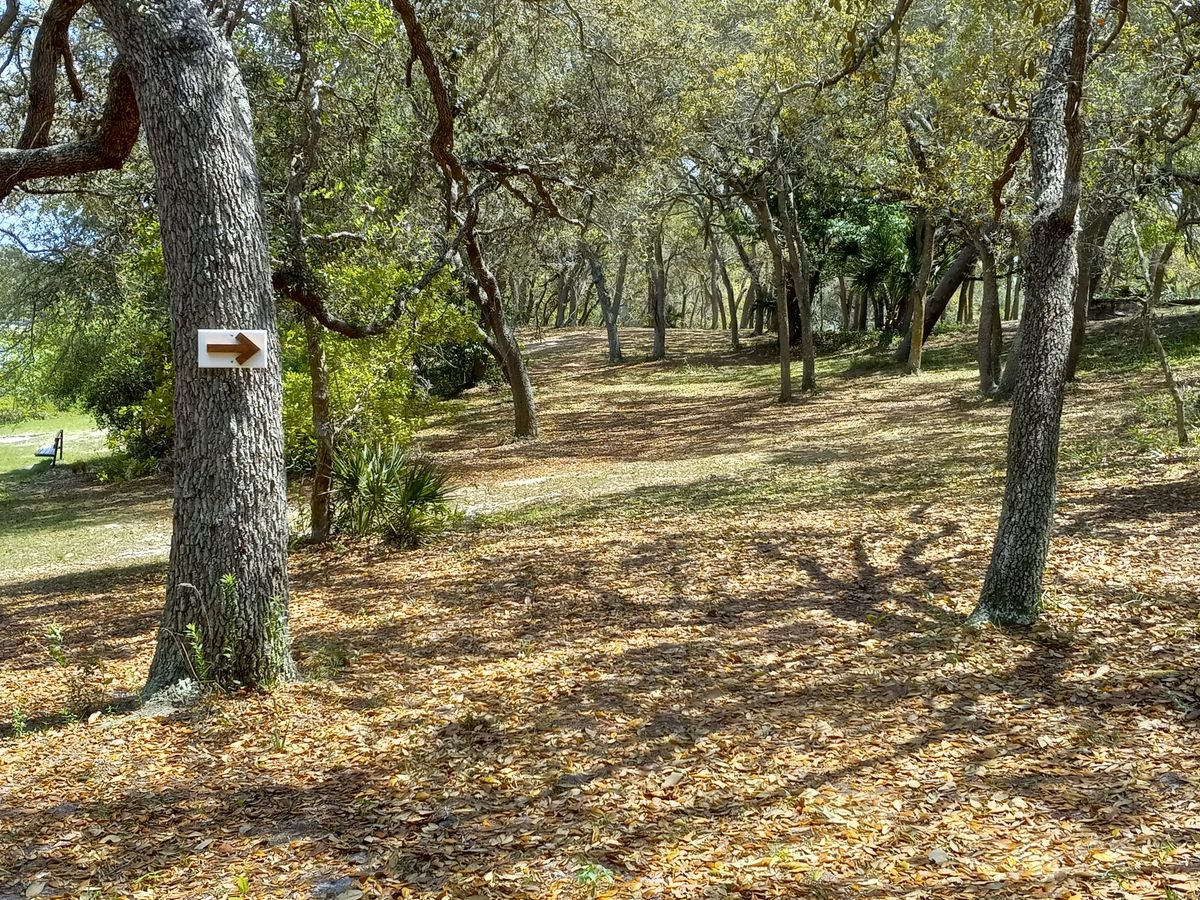 The dreaded fairway 9.