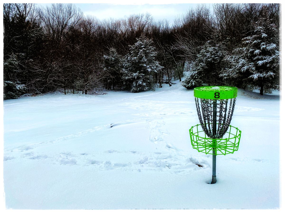 #8 Looking back towards Tee pad