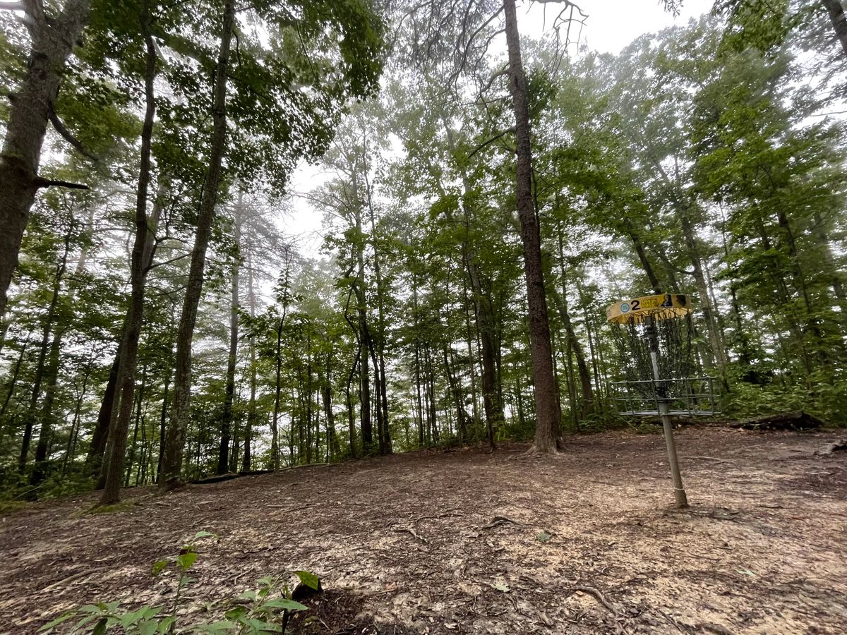 Hole 2 basket