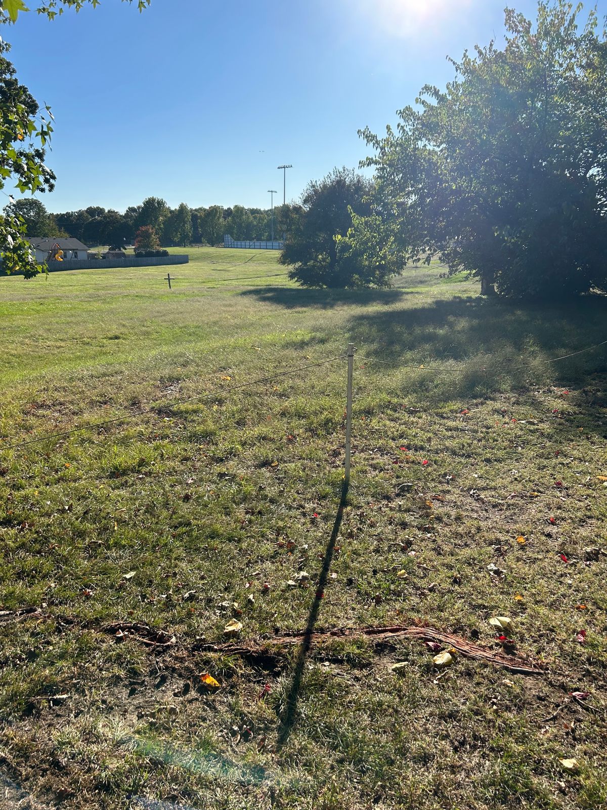 Hole $14 Grass Tee Pad Near large tree root. This hole does not have a hole post. 