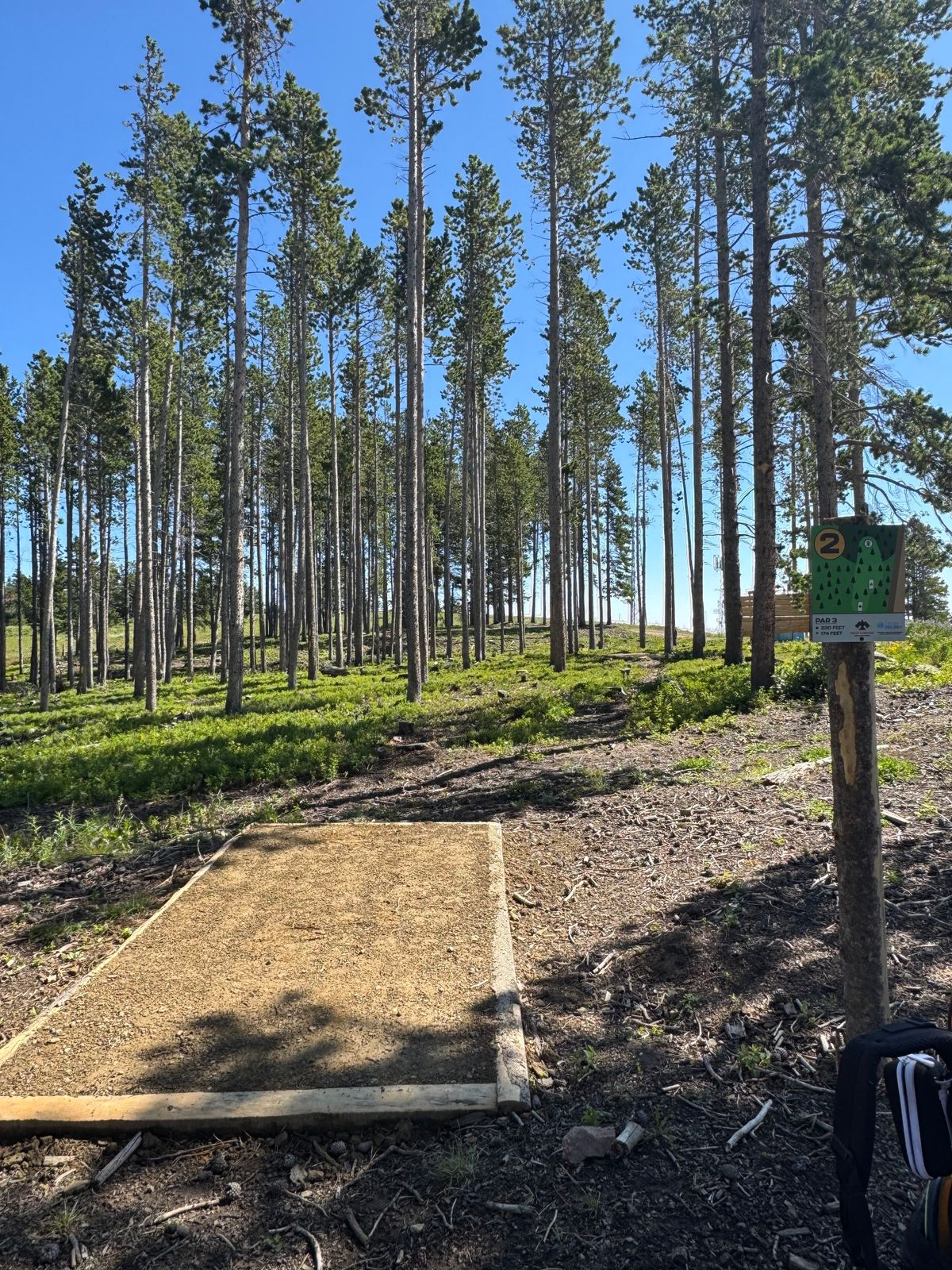 Hole 2 - Black Tee