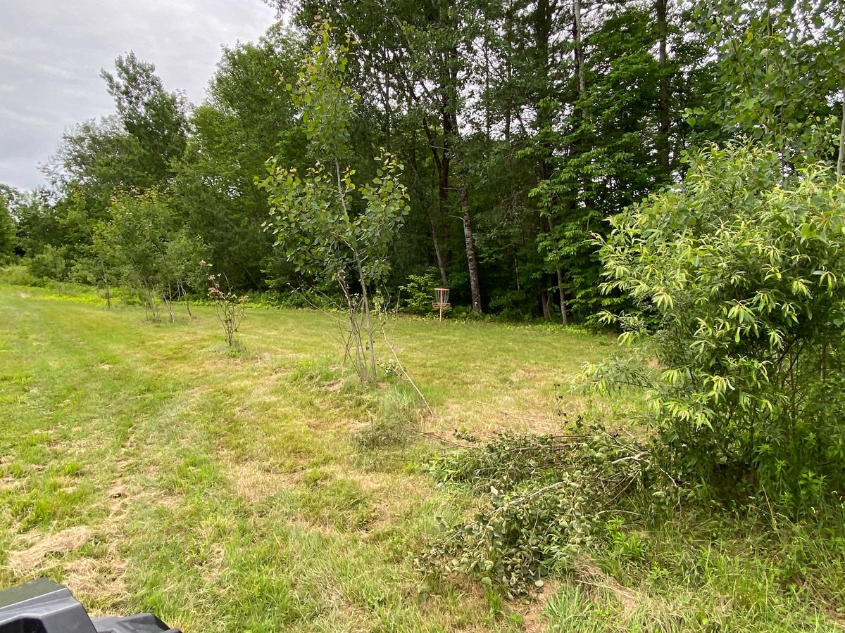 Hole 8