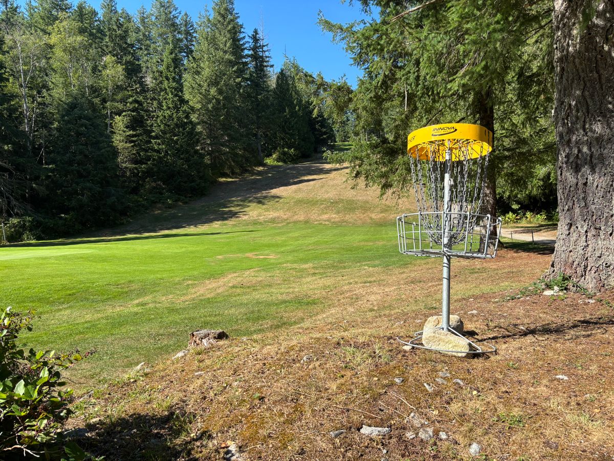 Hole 6 basket looking up towards tee pad on the left.