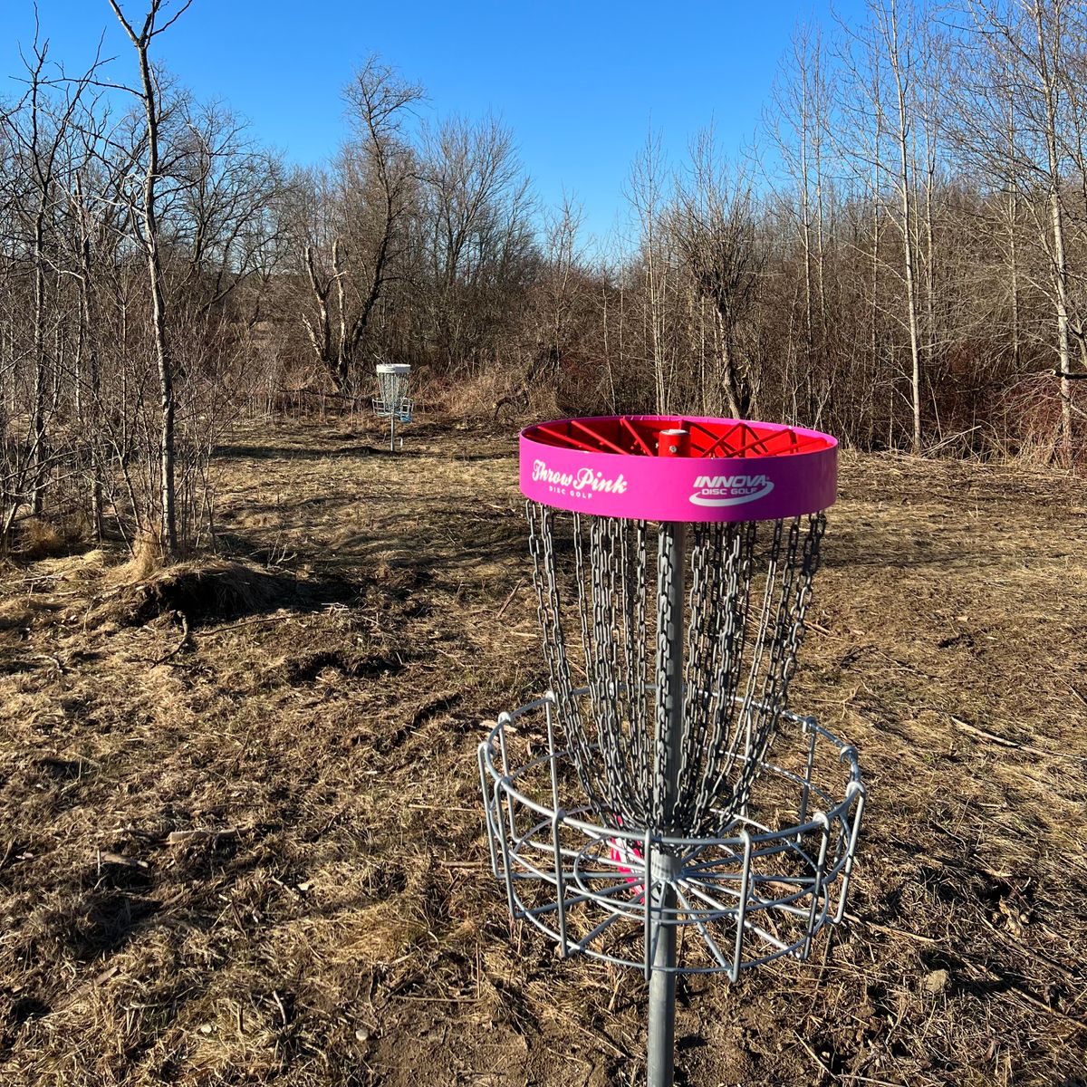 The short course is Throw Pink.  Each hole has a short and long layout.