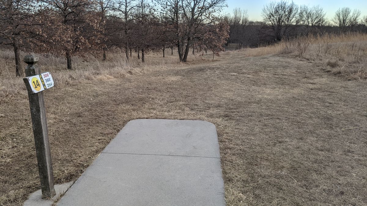 Tee #14 basket is past the trees and up the hill left
