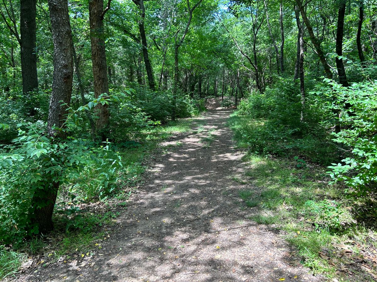 This is the tight drive for hole 2. The first three holes are tightly wooded, but it opens up at 4.