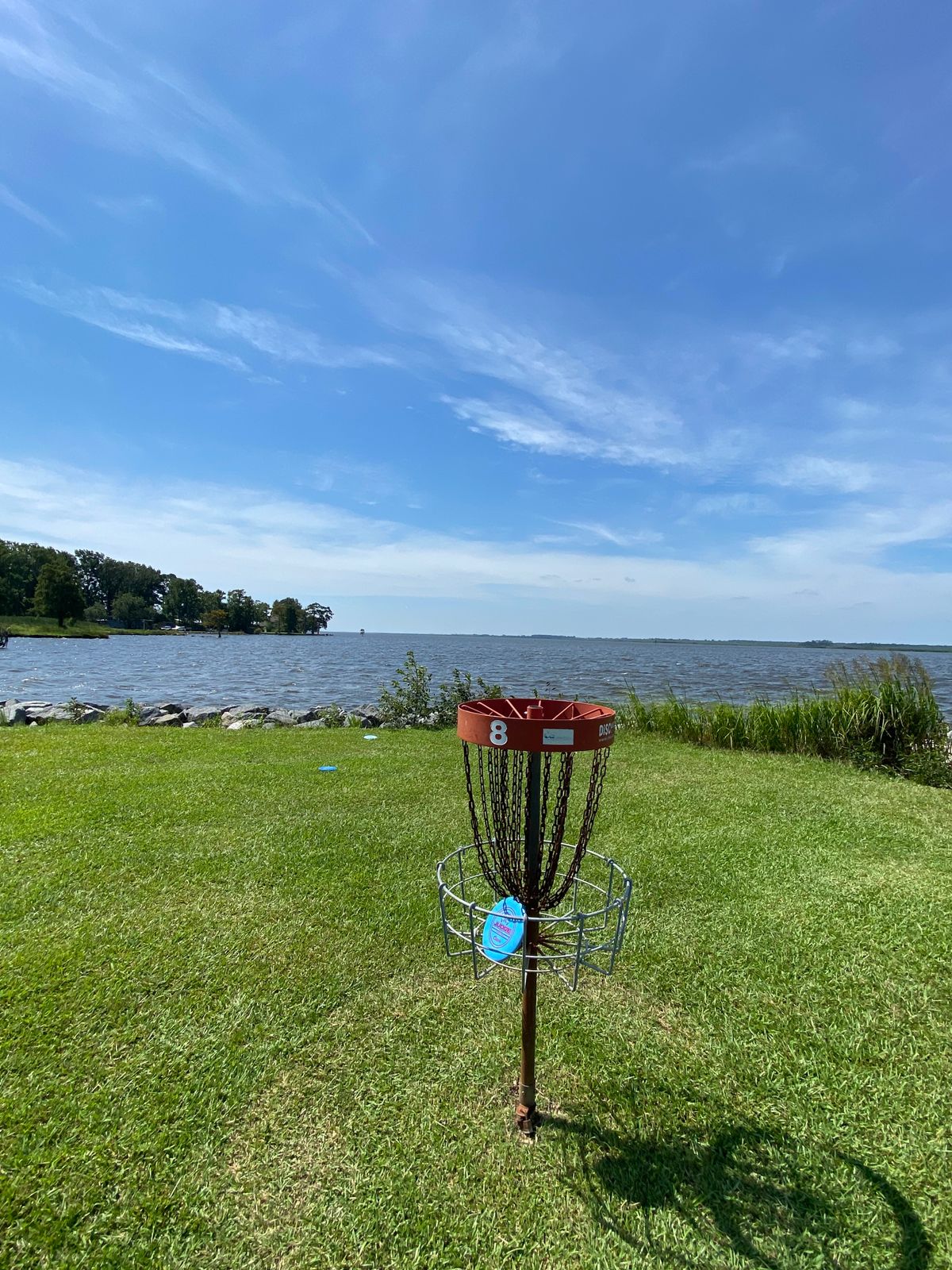 Had to play this course for hole 8
