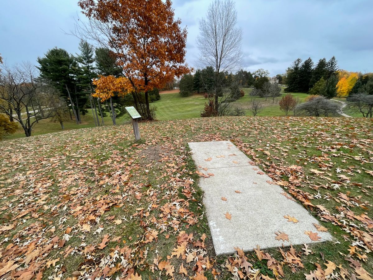 Hole 11 long tee