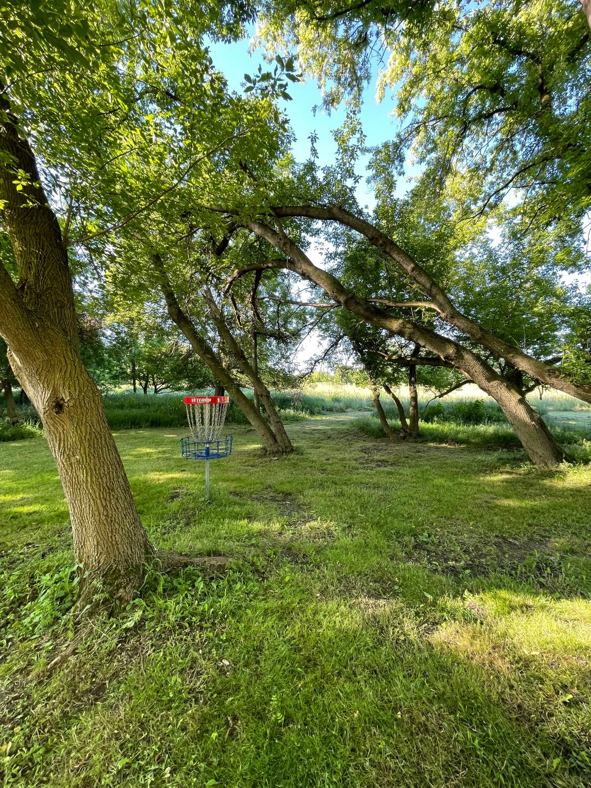 Hole 1, surrounded by trees.