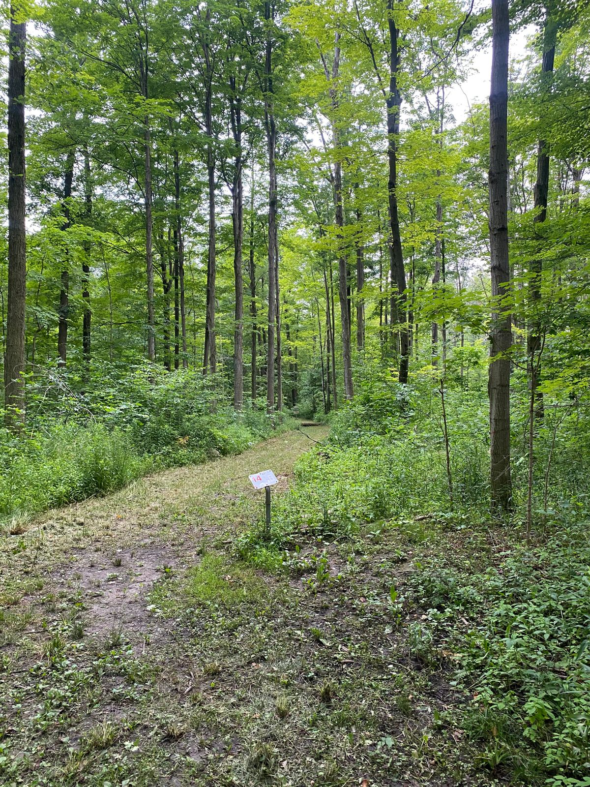 Hole 14 
Red