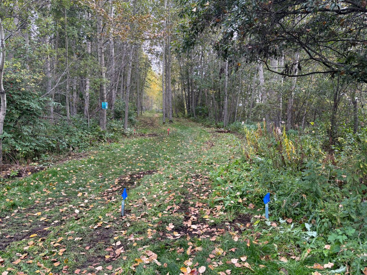 Hole 15 Blues