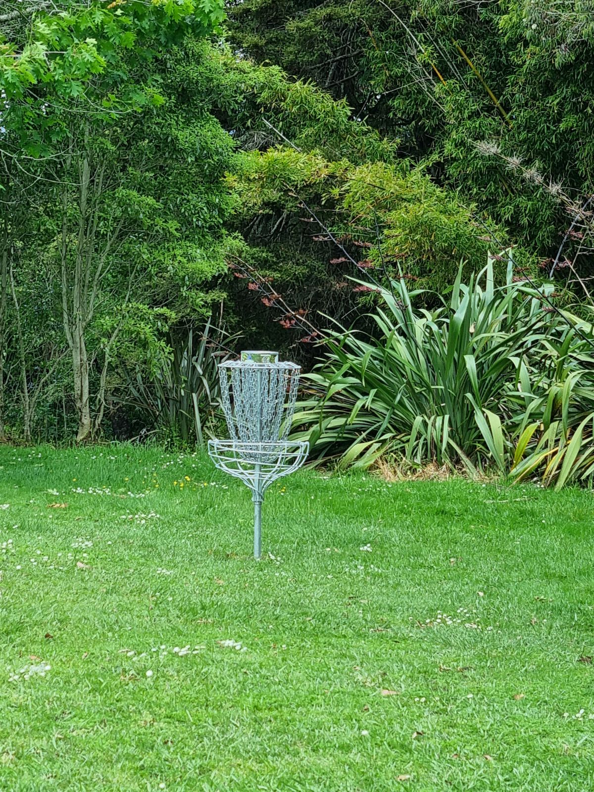 Hole 5 basket