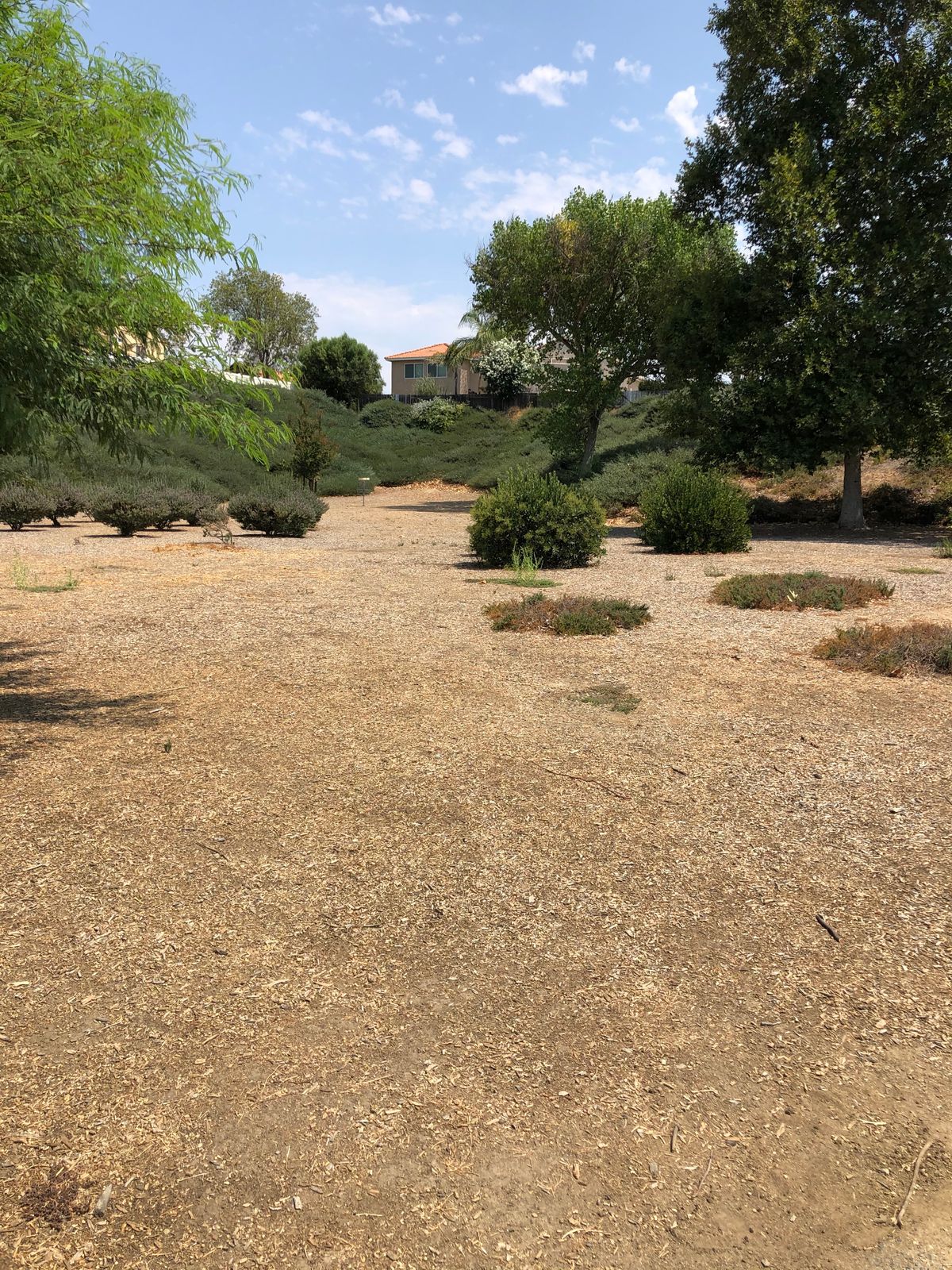 Hole 8