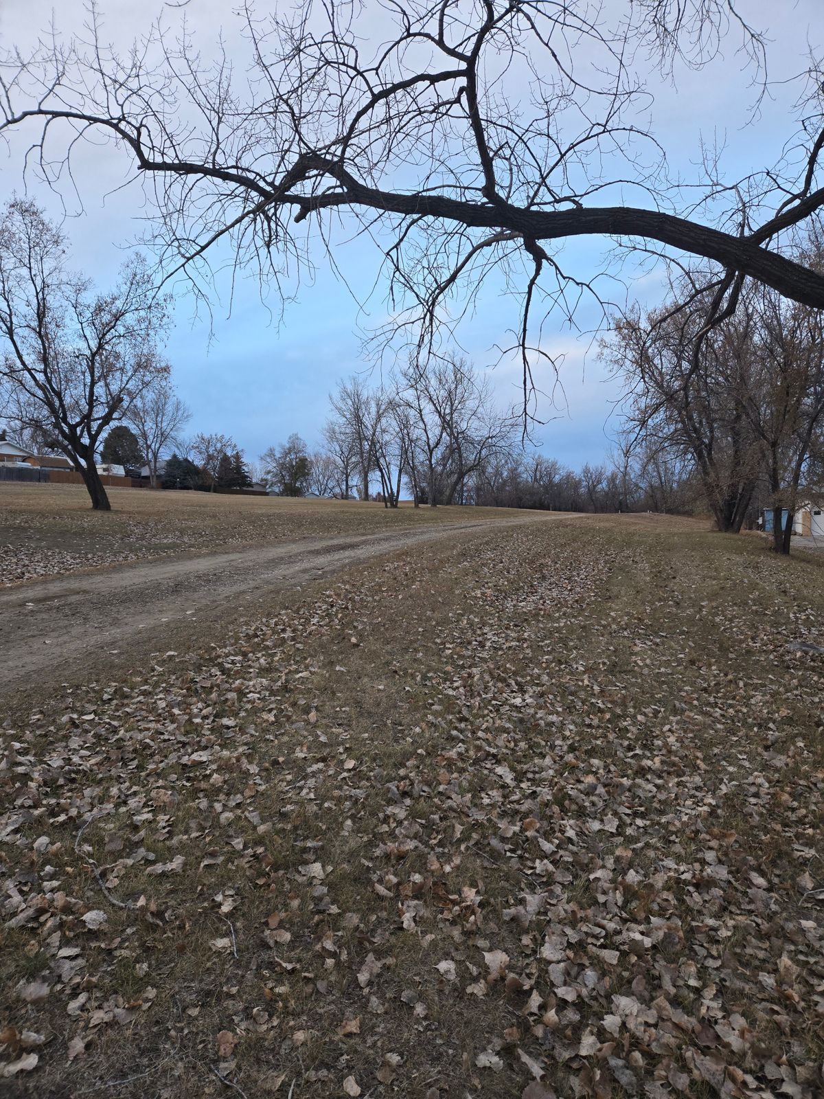 Hole 1