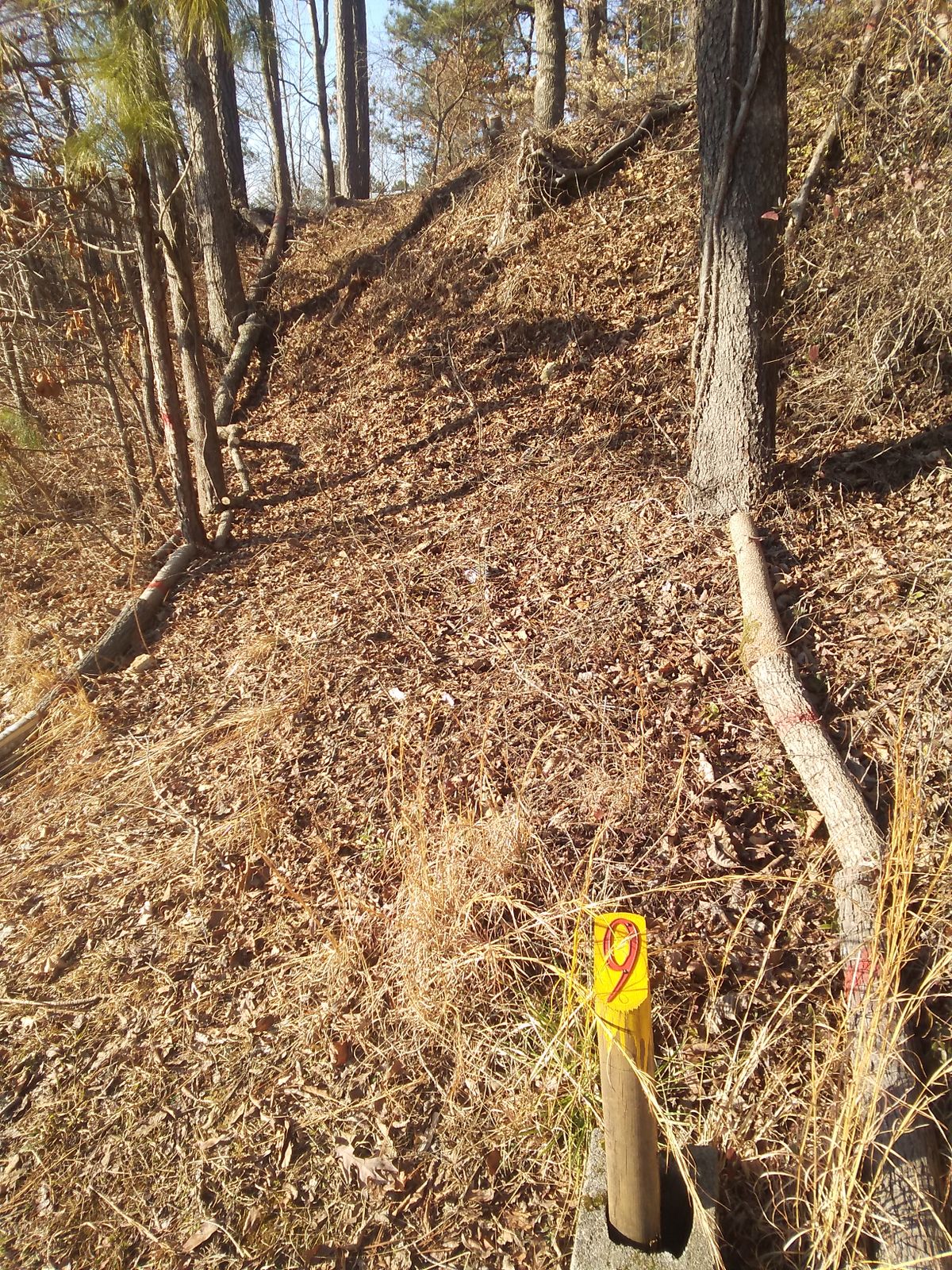 Hole 9 teepad