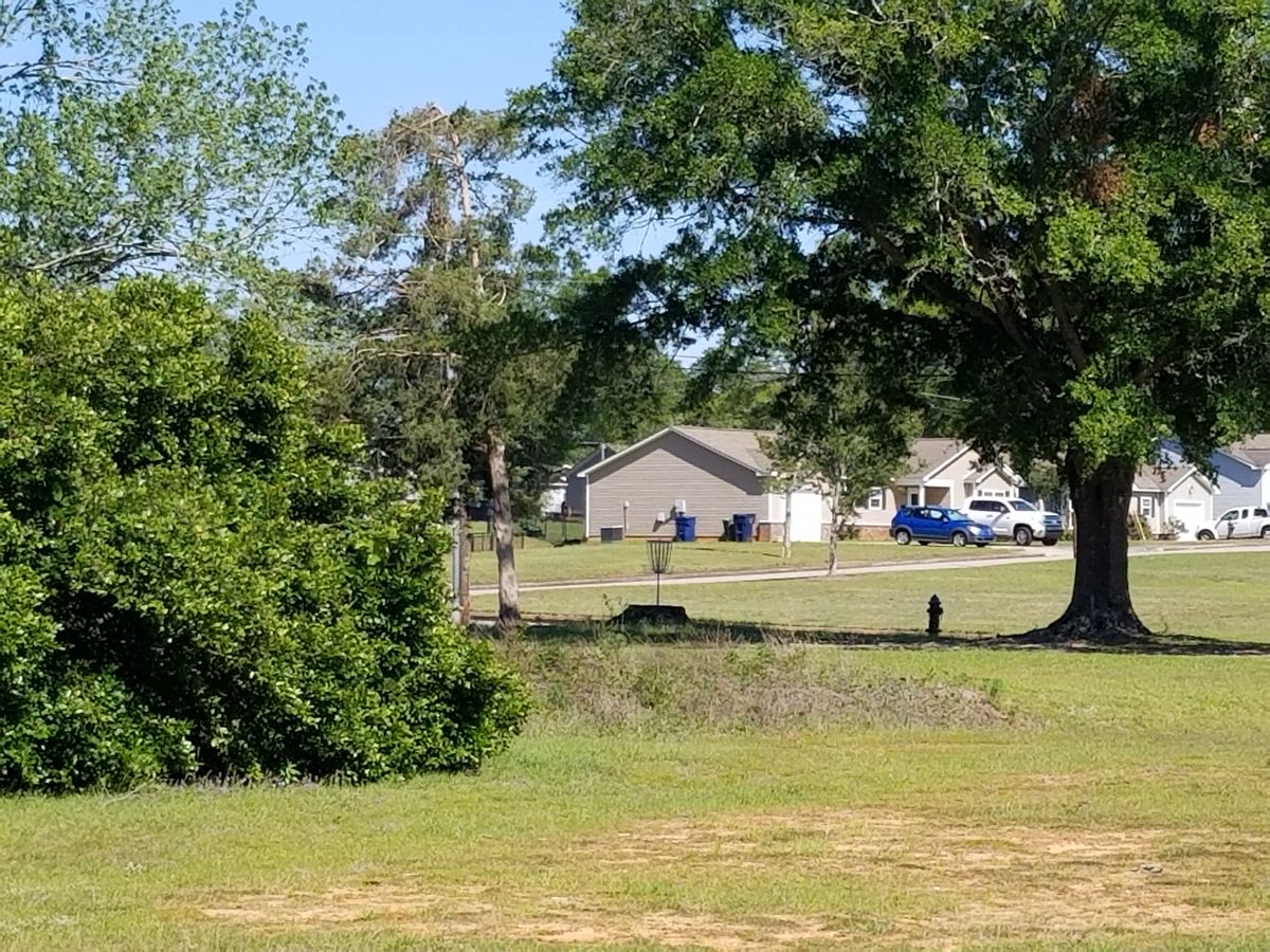 Hole 2 basket