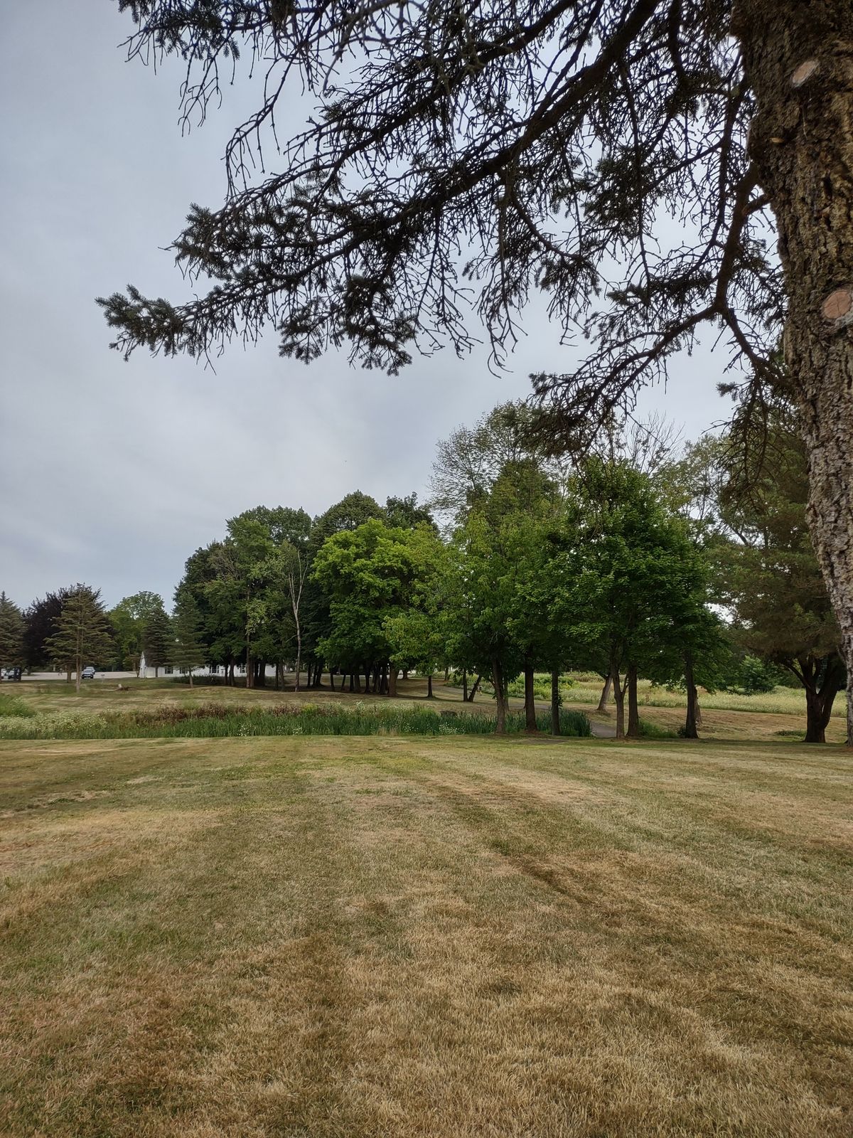 Hole 18 approach
