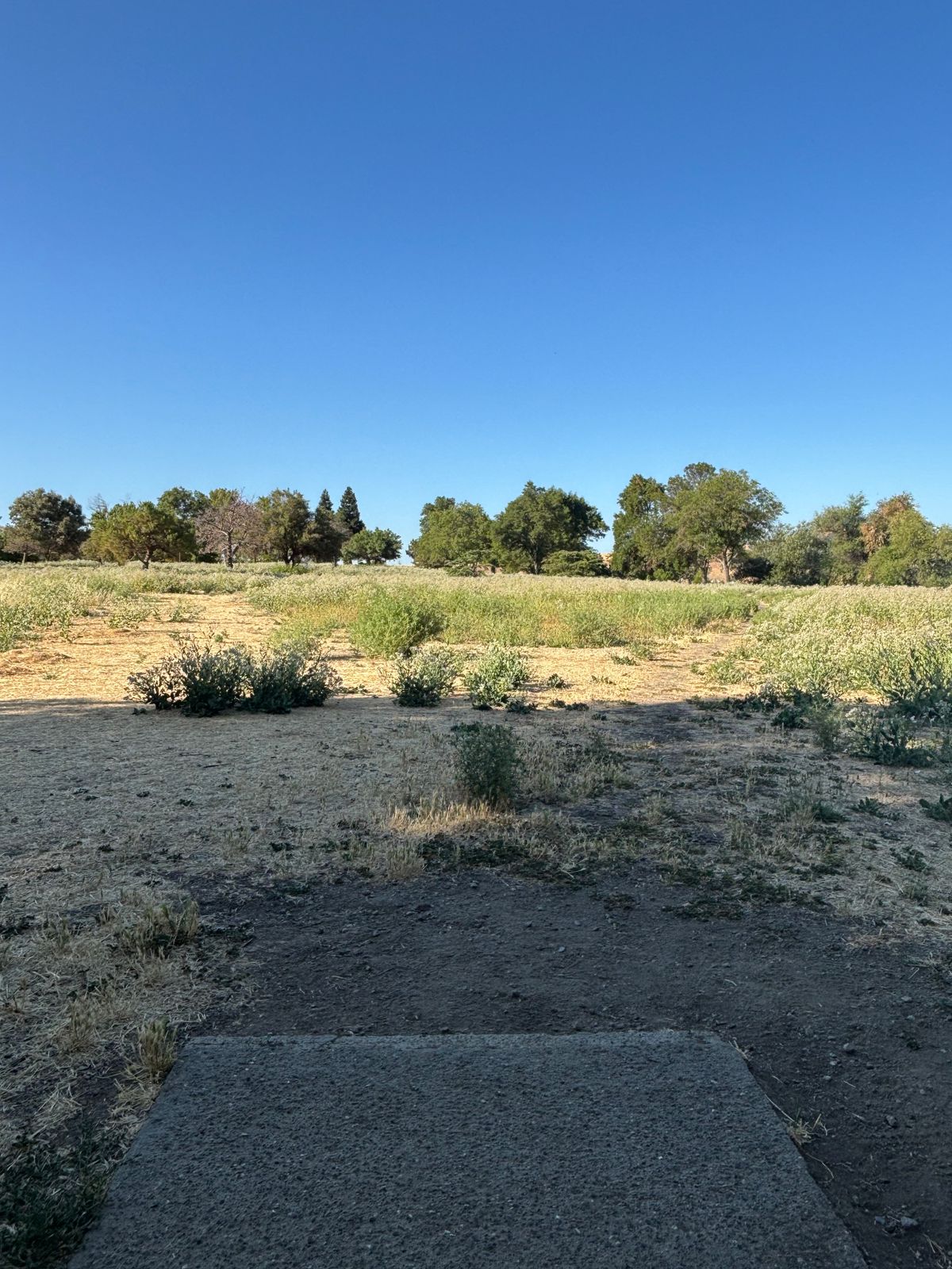Lagoon Front Hole 1