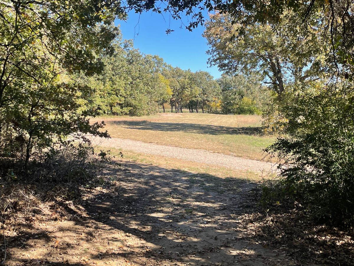 Hole 9 tee