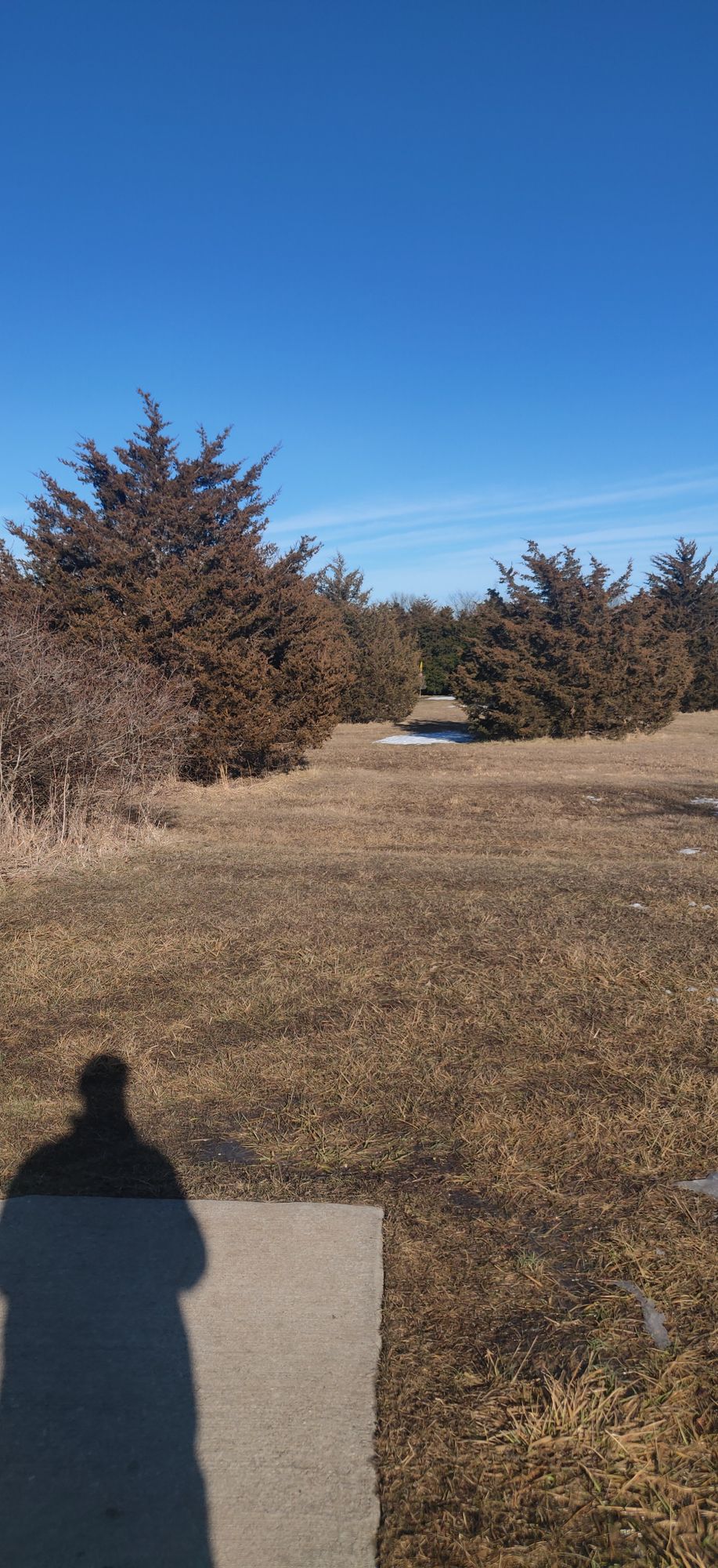 Hole 2. Small gap up the middle. Big hyzer over the left. Basket tucked in half circle of cedar trees.