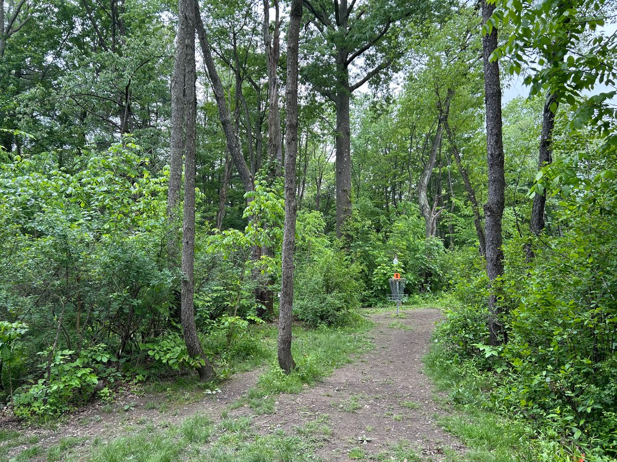 Hole 1 Basket