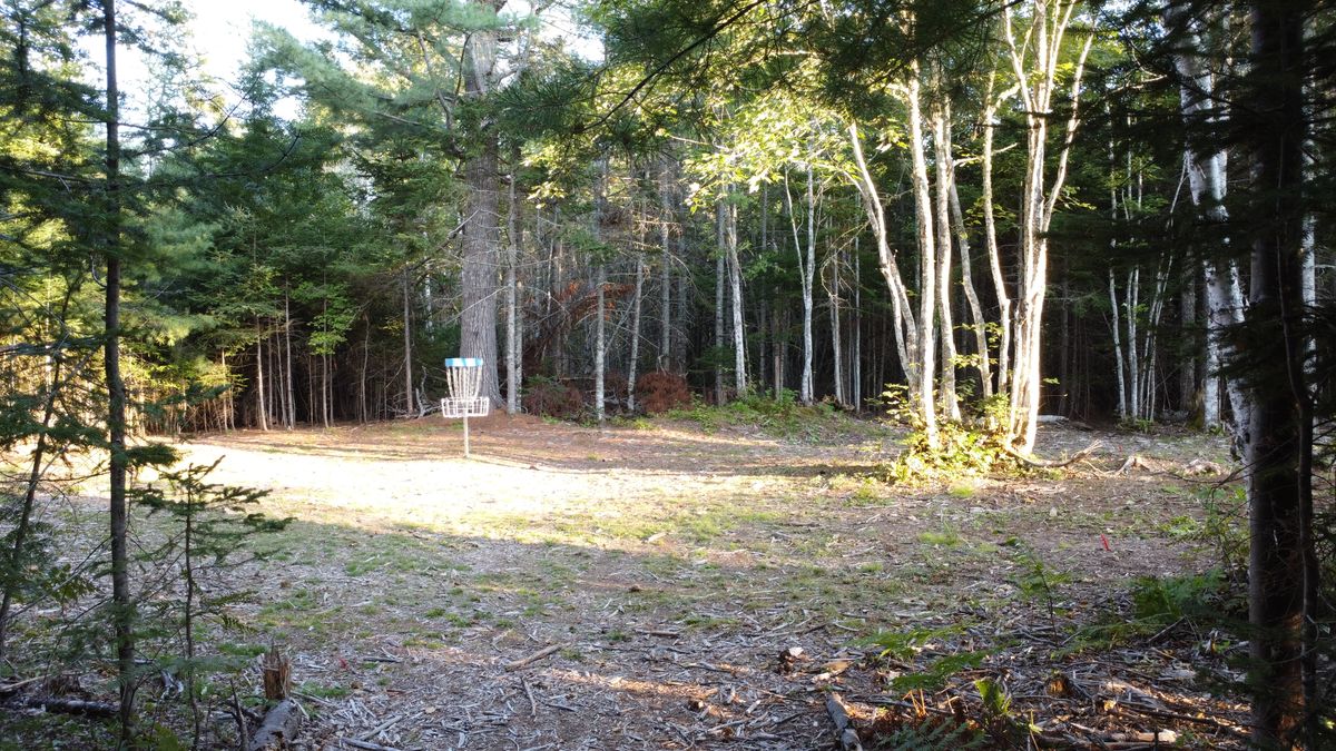 Hole 5 - green.