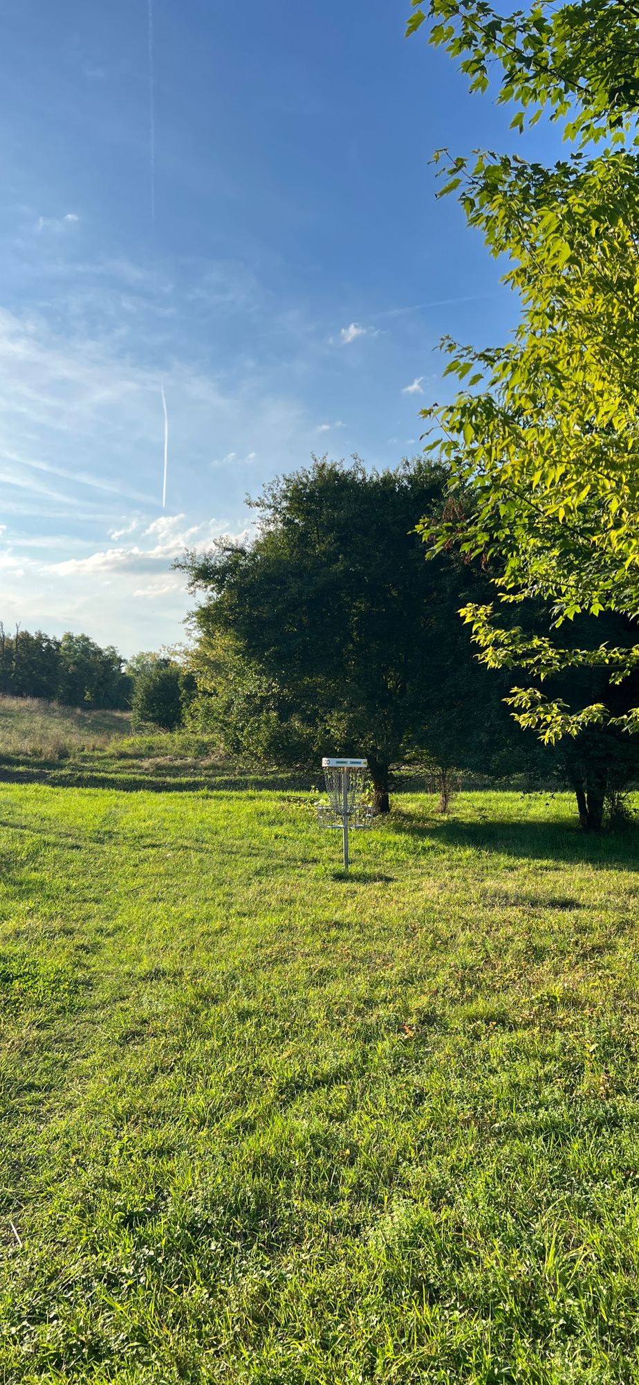 Target #12