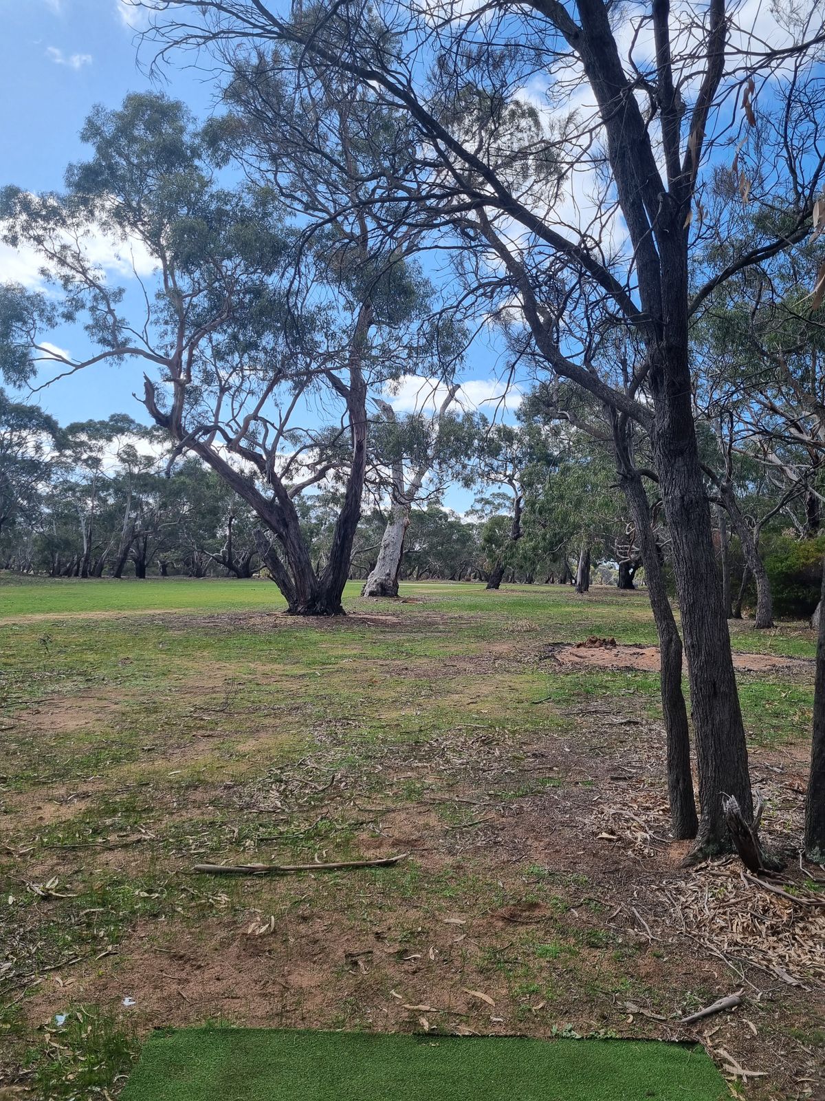 Hole 2. Probably the best hole on the new layout