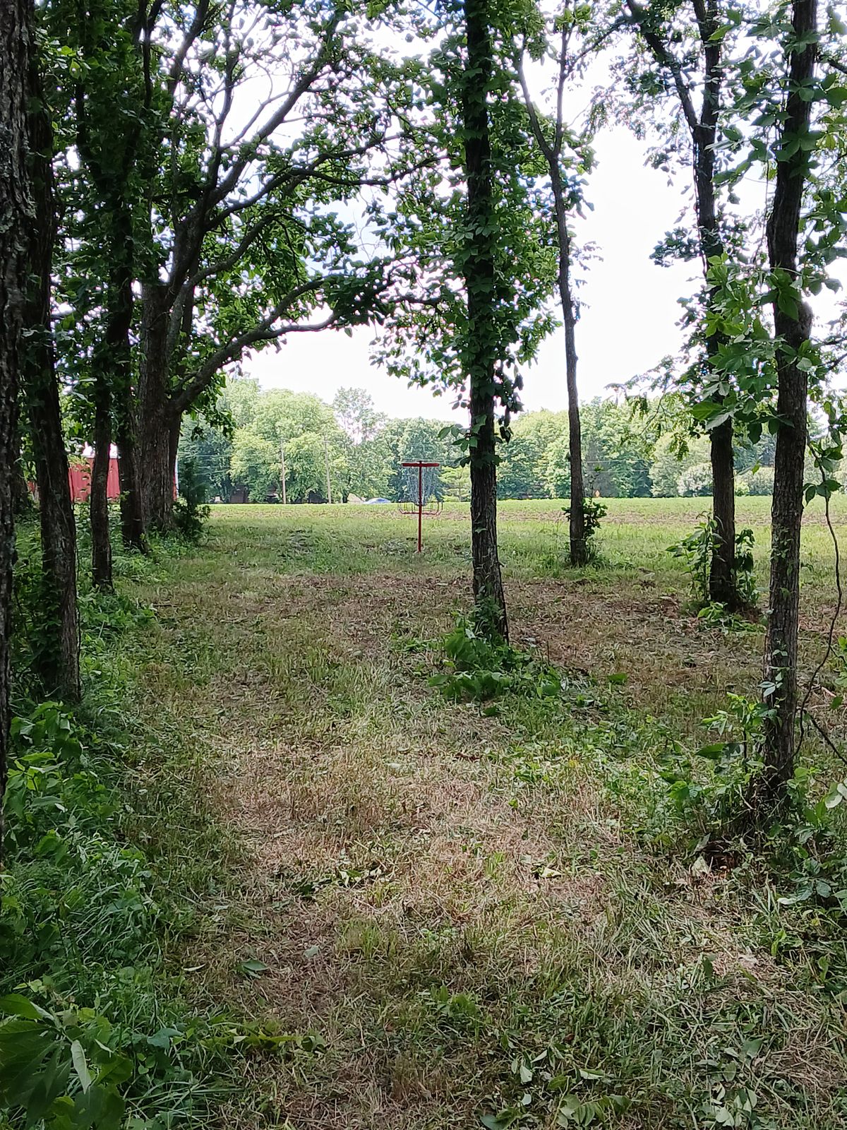 Hole 5 Green