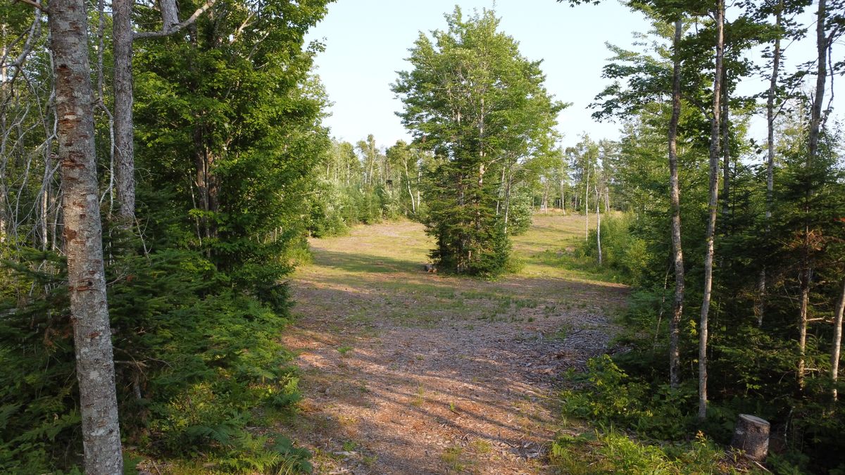 Early fairway of hole 4.