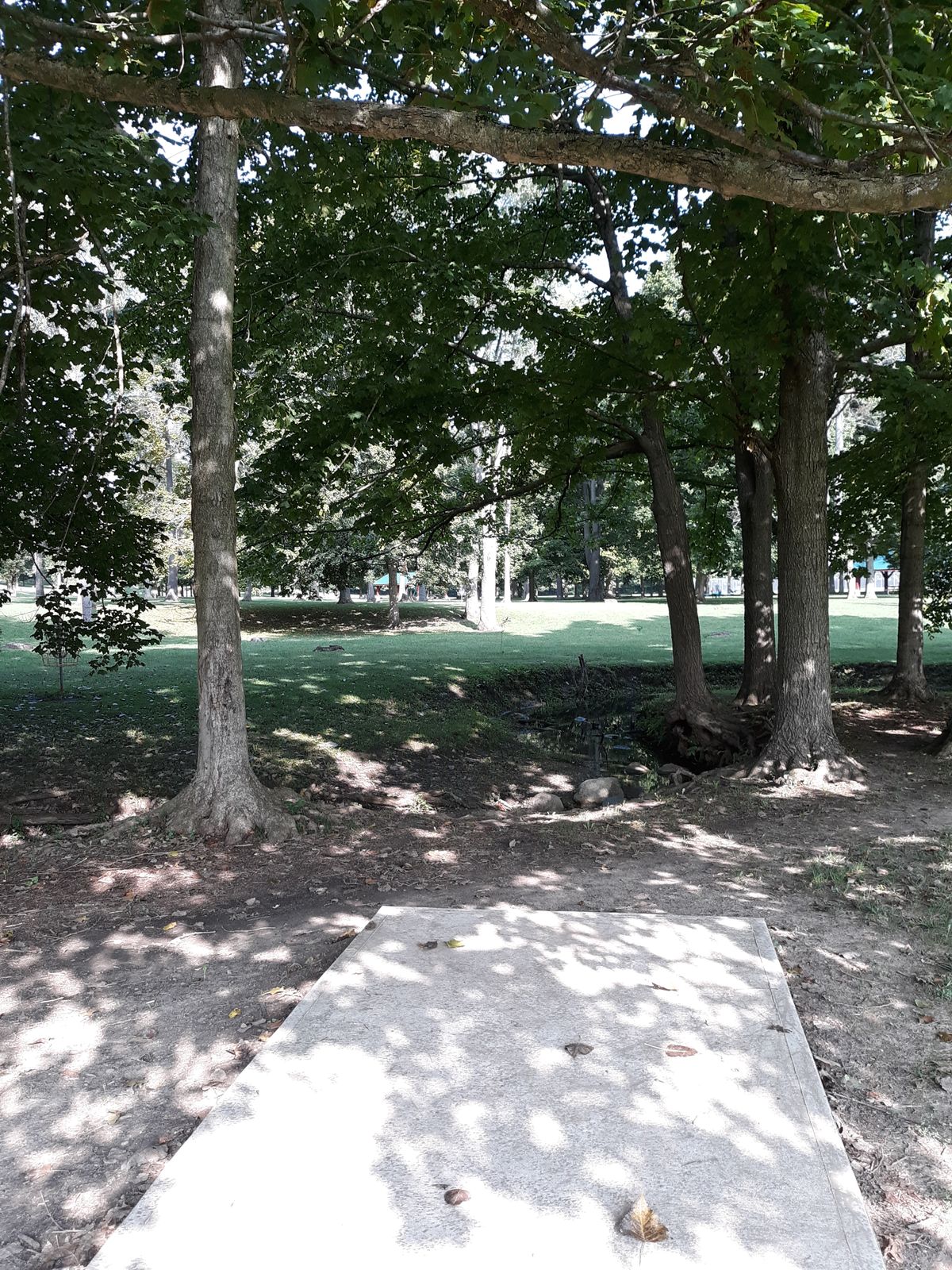 Hole 22 tee