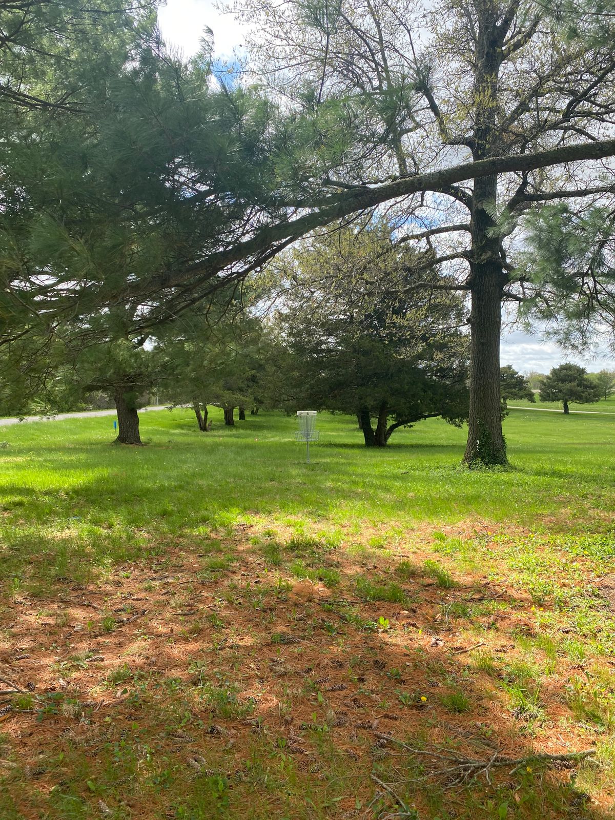 Hole 6 Basket
