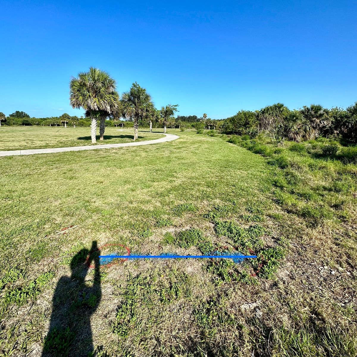 Hole 4 Blue